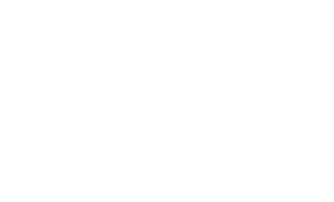 Il vit flotter les ailes des oiseaux au-delà des hautes portes [...]