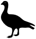 oie.png